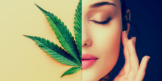 CBD and Skin Care: Everything You Should Know