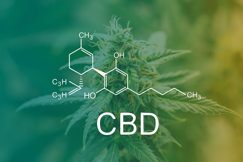 7 Common Misconceptions About CBD: Myths or Facts?